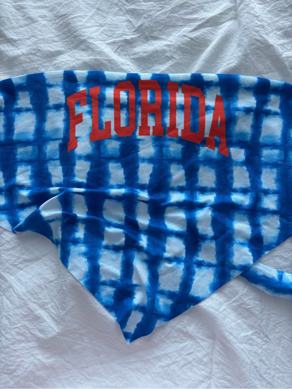 Florida Gators Gameday Top Blue Tiedye